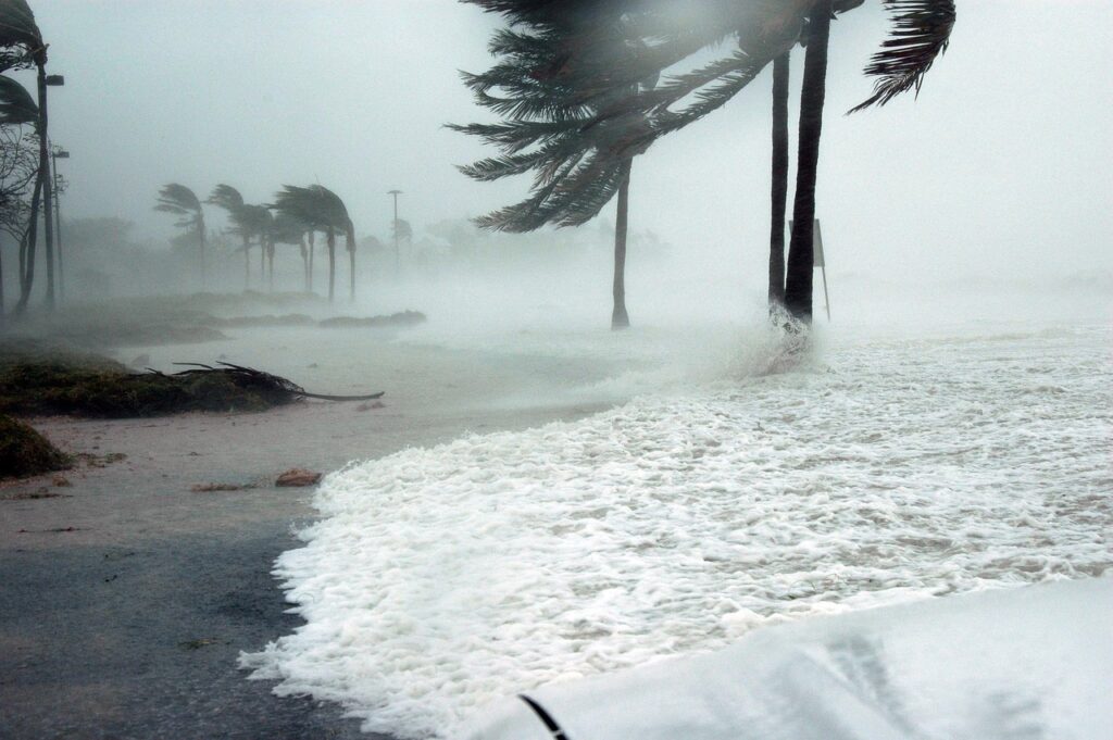 key west, florida, hurricane, dennis, storm, surge, water, raining, wind, blowing, dangerous, sea, ocean, palm trees, beach, weather, hurricane, hurricane, hurricane, hurricane, nature, hurricane